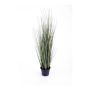 Kunstpflanze Gras Fuchsschwanzgras SAMMI, grün, 50cm