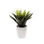 Kunstpflanze Agave decipiens SEDA im Keramiktopf, grün, 25cm, Ø25cm