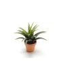 Kunstpflanze Agave decipiens SEDA im Tontopf, grün, 25cm, Ø25cm