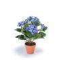 Kunstblume Hortensie LAIDA im Tontopf, blau, 35cm