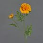 Künstlicher Zweig Studentenblume ASTIE, orange, 65cm, Ø5-9cm