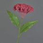 Blume künstlich Hahnenkamm ANUBIS, violett-rot, 60cm, Ø14cm