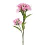 Künstliche Bartnelke ARCHIE, rosa, 60cm, Ø8-14cm