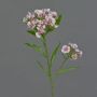 Künstliche Bartnelke ARCHIE, creme-pink, 60cm, Ø8-14cm