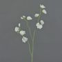 Kunstblumenzweig Lathyrus ASFALOTH, weiß, 65cm, Ø3-5cm