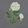 Kunstblumenzweig Pfingstrose ONYX, creme-weiß, 75cm, Ø10-13cm