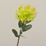 Künstliche Nadelkissen Protea BAILY, gelb-grün, 55cm, Ø10cm