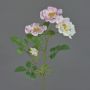 Künstliche Wildrose BALOU, weiß-rosa, 60cm, Ø7-9cm