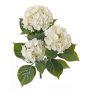 Künstliche Hortensie SAIRA, Steckstab, crossdoor, creme, 40cm, Ø11-13cm