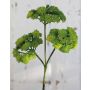 Künstlicher Sedum rubrotinctum Zweig JAROH, grün, 35cm