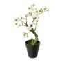 Künstlicher Baum Mandelbonsai OYOS im Dekotopf, mit Blüten, weiß, 26cm