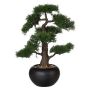 Kunstbaum Bonsai Zeder FALKE, Keramiktopf, 50cm