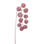 Deko Zweig Platane FLERMO mit Früchten, hängend, gefroren, altrosa, 60cm