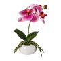 Plastikblume Phalaenopsis Orchidee KASDA, Keramikschale, Wurzeln, pink, 27cm
