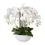Plastikblume Phalaenopsis Orchidee KASDA, Keramikschale, Wurzeln, weiß, 55cm