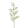 Deko Zweig Sternblume KLIRMO, weiß, 60cm