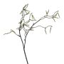 Deko Zweig Birke FLOREM mit Blüten, creme, 55cm