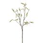 Deko Zweig Birke FLOREM mit Blüten, grün, 55cm