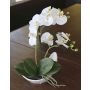 Deko Phalaenopsis Orchidee ZARMINAH in Keramikschale, weiß, 35cm
