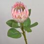 Deko Blumenzweig Königs-Protea TANIEKA, rosa-lila-weiß, 65cm, Ø9cm