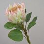 Deko Blumenzweig Königs-Protea TANIEKA, grün-rosa, 65cm, Ø9cm