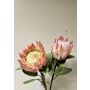 Deko Blumenzweig Königs-Protea TANIEKA, rosa-lila-weiß, 65cm, Ø12cm