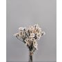 Kunstblumen Strauß Chrysanthemen klein WEMKE, weiß-creme, 35cm, Ø13cm
