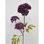 Kunstblumenzweig Schafgarbe VOLKERDINE, dunkelviolett, 70cm
