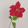 Samt Poinsettia künstlich LIBASSE, rot, 65cm