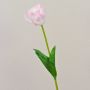 Künstliche Blume Tulpe PJASSINA, weiß-rosa, 65cm