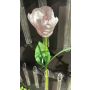 Papageientulpe künstlich PETSCHORA, weiß-rosa, 65cm