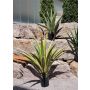 Kunst Agave furcraea gigantea CHERIE, grün-gelb, 100cm