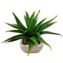 Deko Aloe Vera KATNISS, Keramiktopf, grün, 19cm