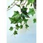 Künstliche Efeu MAIDYS auf Steckstab, grün, 50cm