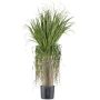Künstliche Palme Grasbaum BUNDHE, 125cm