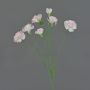 Kunstblumenzweig Nelke PIARA, zartrosa, 60cm, Ø3-5cm