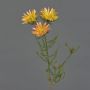 Künstliche Kap-Strohblume BEYA, gelb-hellorange, 60cm, Ø6cm