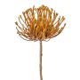 Kunstblume Nadelkissen Protea ZIRMO, orange, 50cm