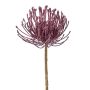 Kunstblume Nadelkissen Protea ZIRMO, lila, 50cm