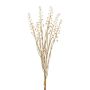 Künstlicher Kermesbeeren Bund VILMO, Beeren, Trockenoptik, beige, 50cm