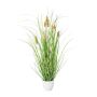 Dekogras Hasenschwanzgras BIRVO im Melamin-Übertopf, Rispen, beige, 50cm