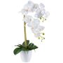 Dekoblume Phalaenopsis Orchidee BLENTOR im Melamin-Übertopf, Wurzeln, weiß, 55cm