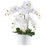Dekoblume Phalaenopsis Orchidee TOUNI, Keramiktopf, Wurzeln, weiß, 60cm
