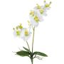 Deko Blume Phalaenopsis Orchidee KRUZBER, Steckstab, Wurzeln, weiß-grün, 55cm