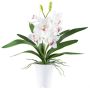 Textil Cymbidium Orchidee BLORKE im Melamin-Übertopf, Wurzeln, weiß-rosa, 55cm
