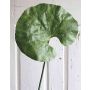Kunstblatt Wasserrose ZEREENA, grün, 70cm