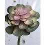 Unechte Echeveria gibbiflora ERNESTO, Steckstab, grün-rosa, 23cm, Ø13cm