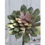Plastik Echeveria elegans FULVIAN, Steckstab, grün-rosa, 20cm, Ø14cm
