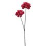 Dekozweig Holunder KULVEN, Beeren, rot, 70cm