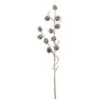 Dekozweig Lärche BORIKA mit Zapfen, gefroren, weiß-braun, 85cm